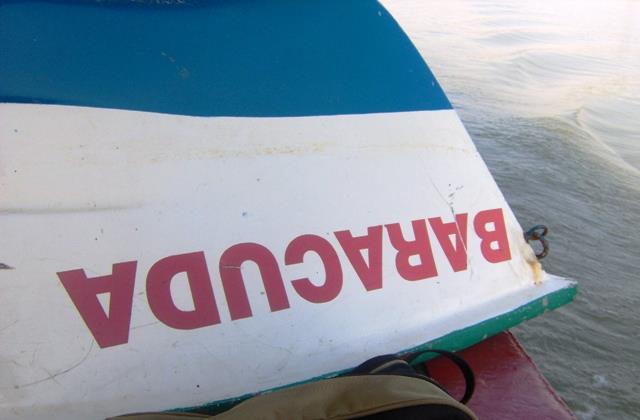 delta Mila 23 - im000390.JPG